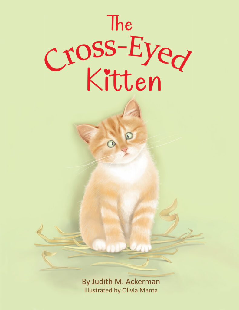 The Cross Eyed Kitten